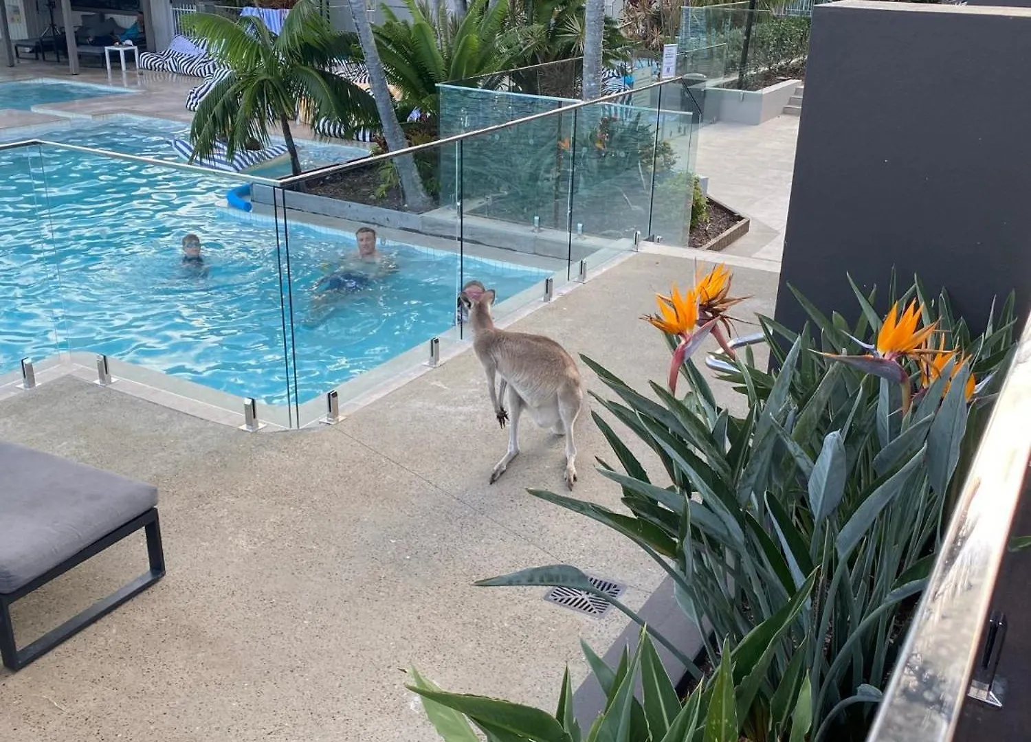 Appartement Large Family Sized Unit With Watersports, Maroochy River, Lagoon, And Beach Access Twin Waters Australië