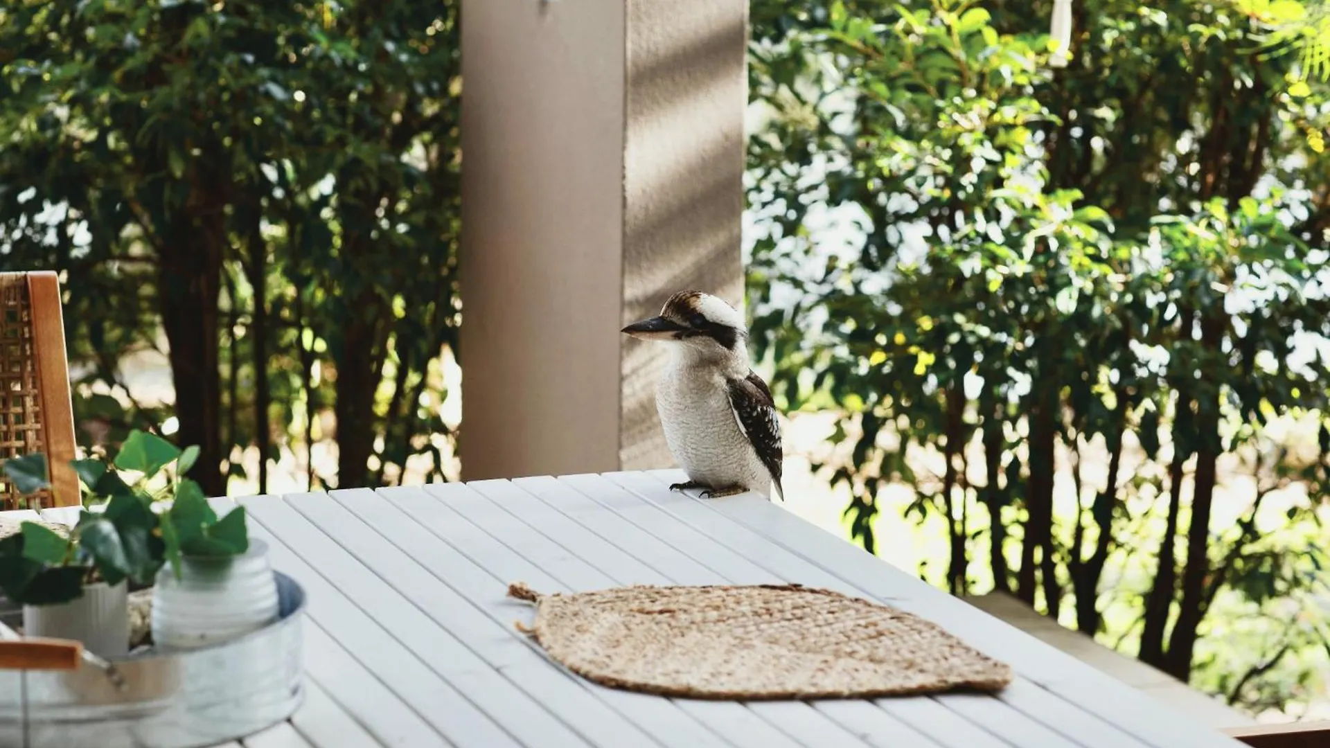 Appartement Large Family Sized Unit With Watersports, Maroochy River, Lagoon, And Beach Access Twin Waters