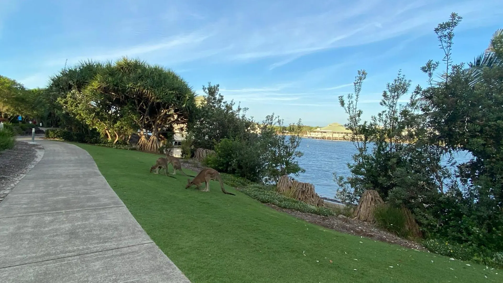 Large Family Sized Unit With Watersports, Maroochy River, Lagoon, And Beach Access Twin Waters Austrálie