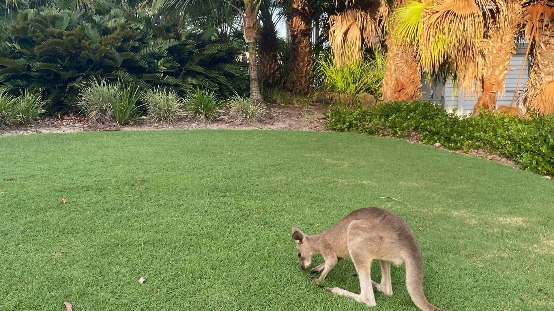 Large Family Sized Unit With Watersports, Maroochy River, Lagoon, And Beach Access Twin Waters